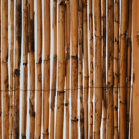 Wellside Apartament Rámos